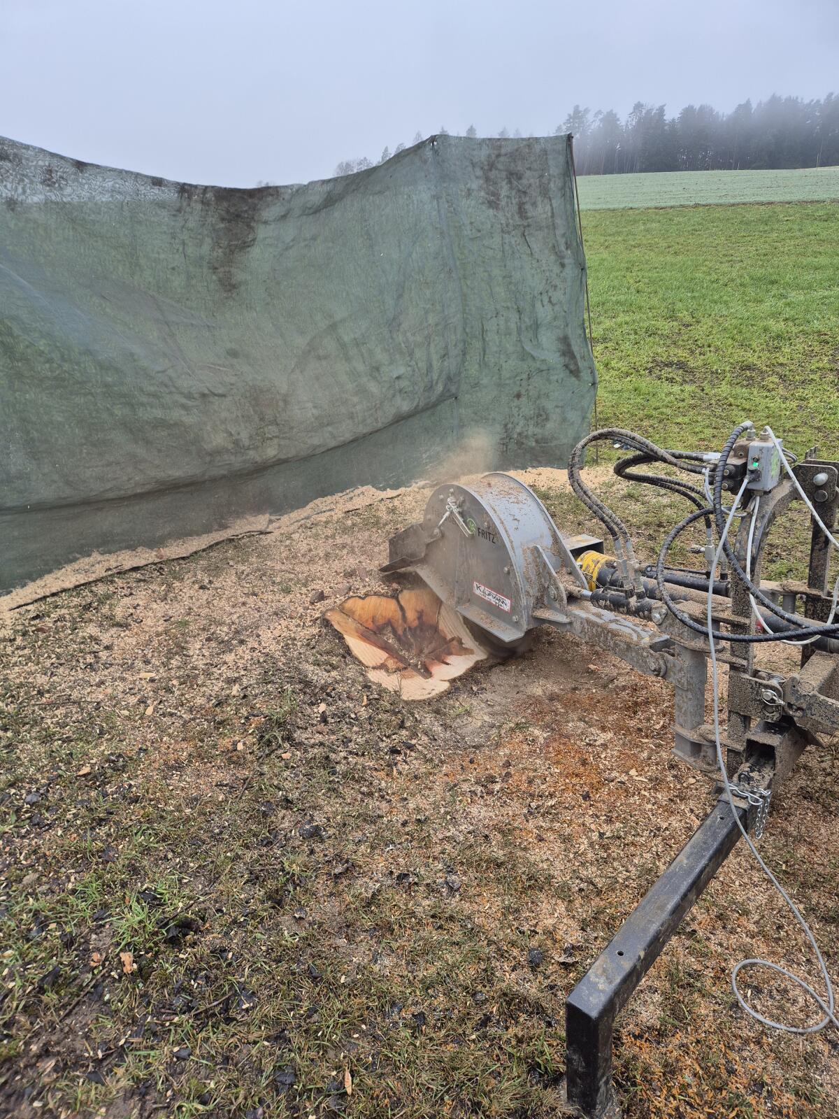 Wurzelstockfräsen, Baumfällung, Baumstumpffräsen 3