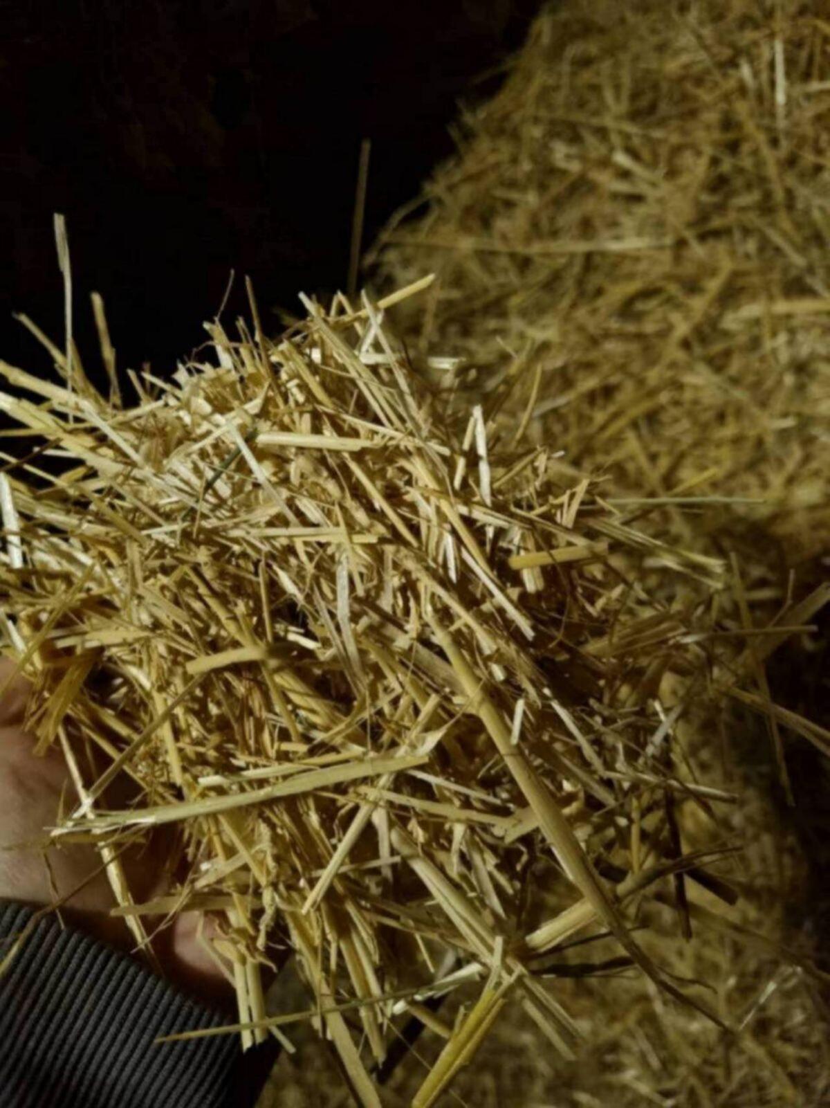 Stroh Kleinballen Restmenge Ernte 2024 2