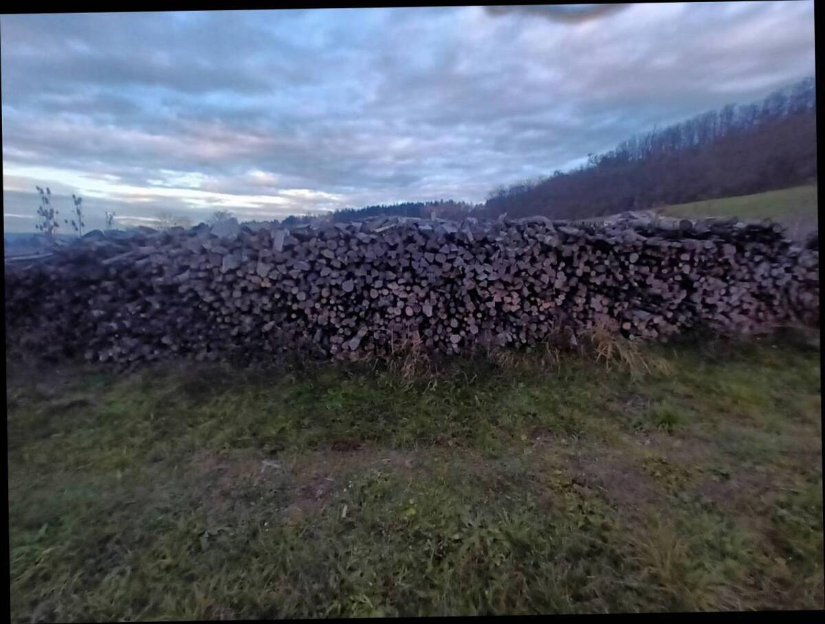 Brennholz Hartholz 3