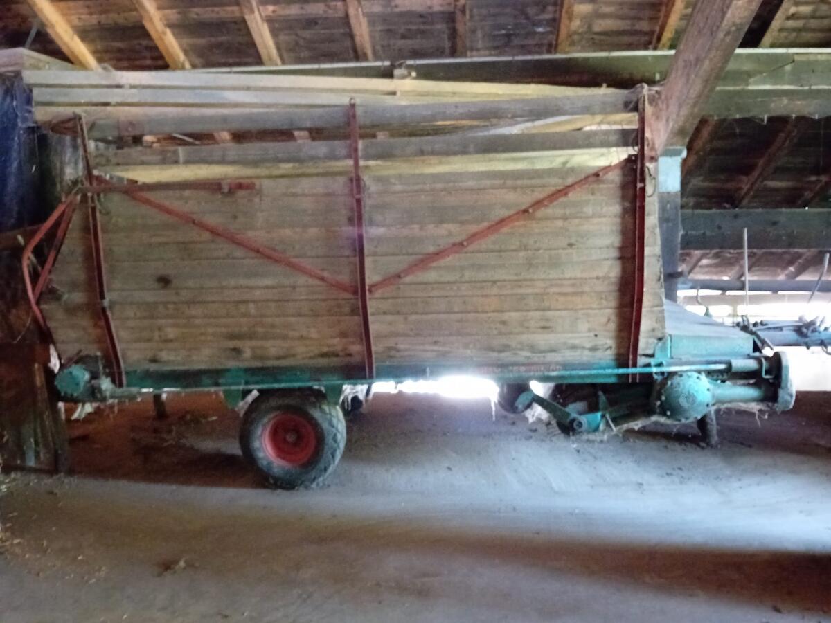 Steyr Hamster Junior 2