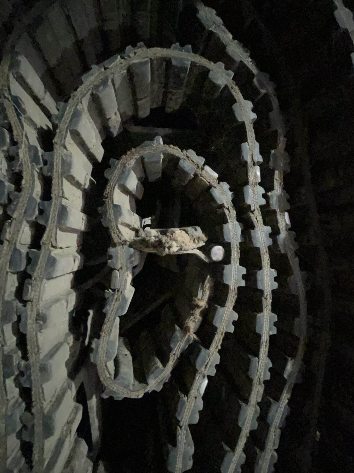 Grobkrautband für Grimme 75-55 & 85-55 2