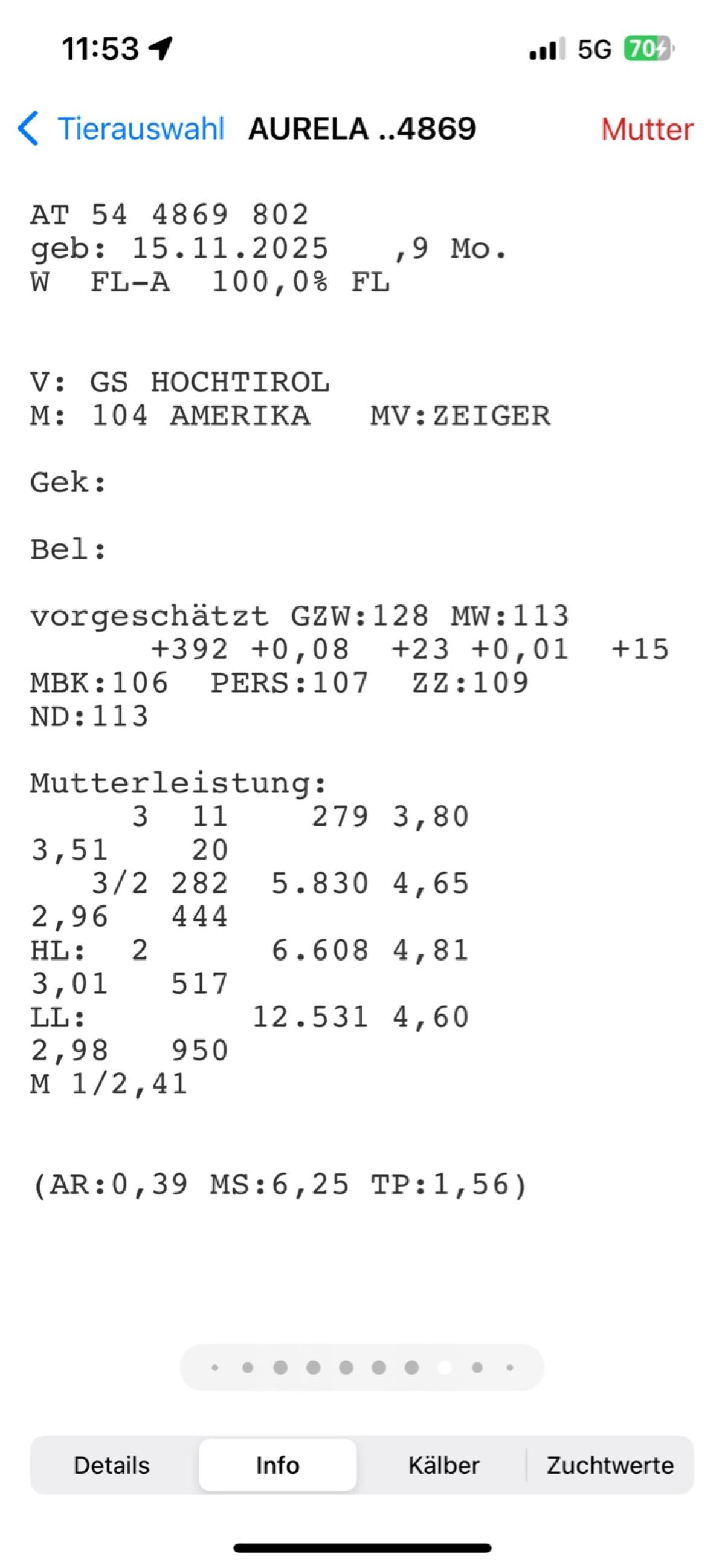 Bio Fleckvieh Kälber 3