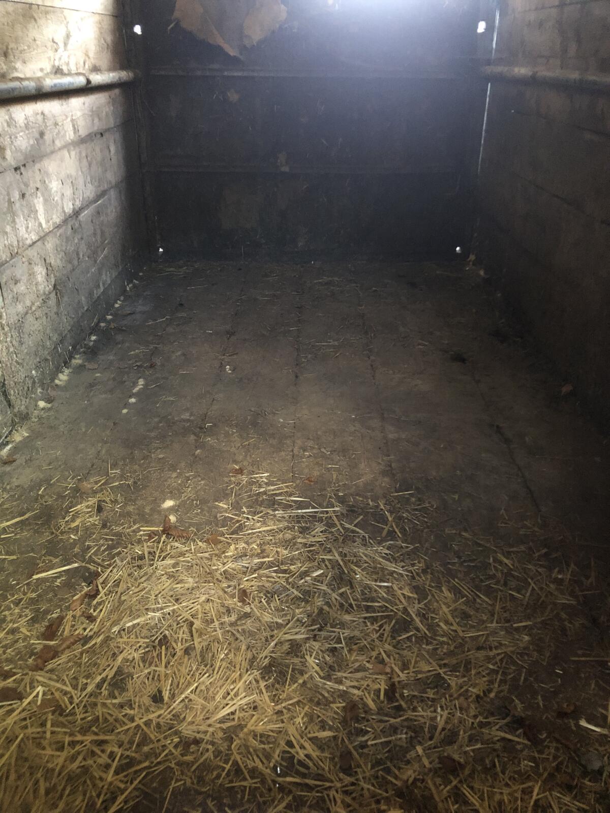 Eigenbau Viehanhänger 2