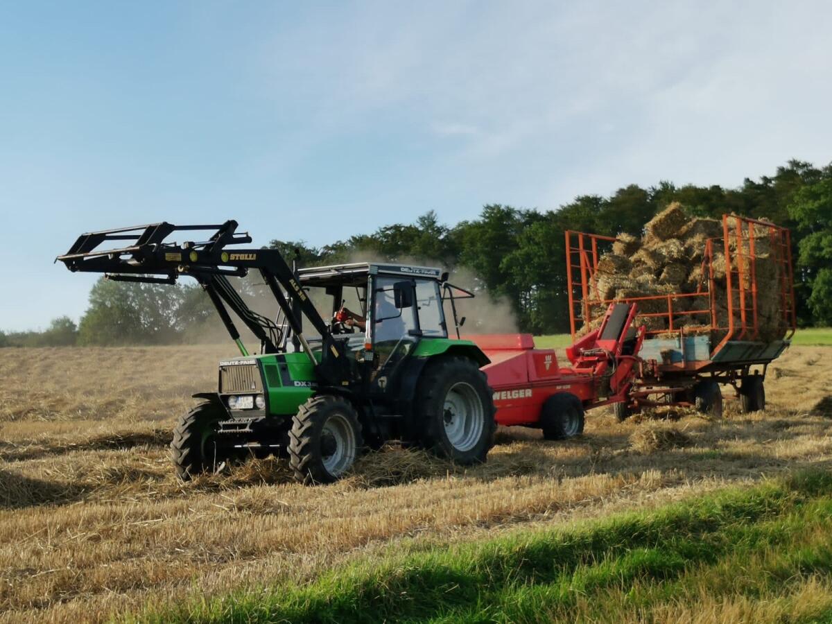 HD Ballen Weizenstroh 2