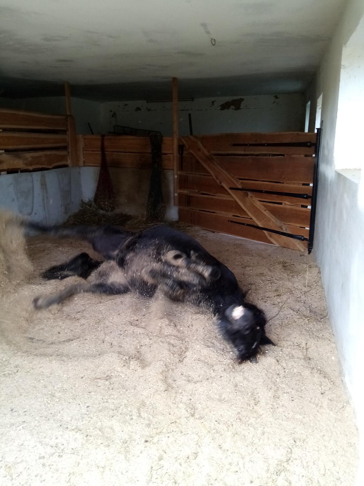 Ab sofort - Einstellplatz in 4550 Kremsmünster 2