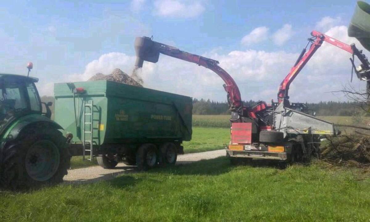 Hackschnitzel Esche und Eiche 2