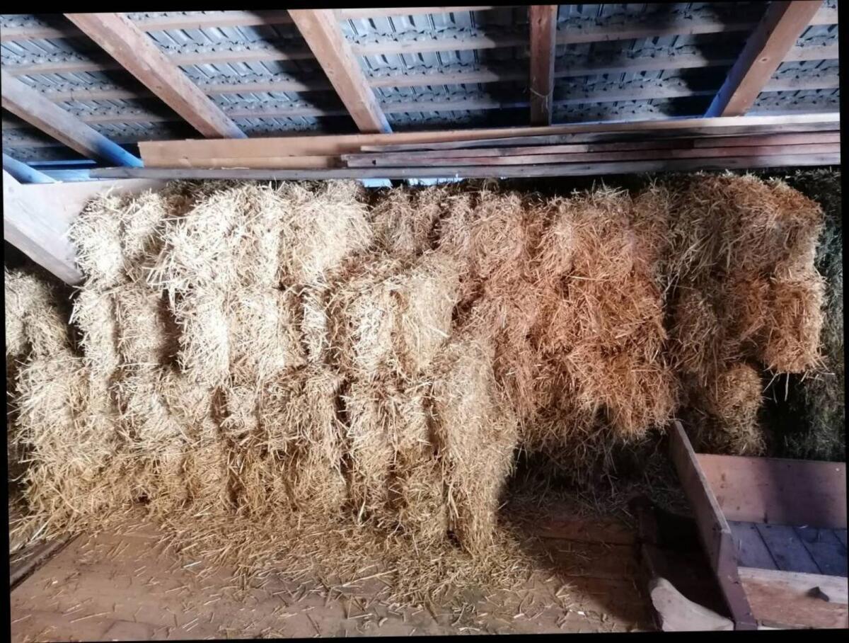 Verkaufe Kleinstrohballen Gerste 3