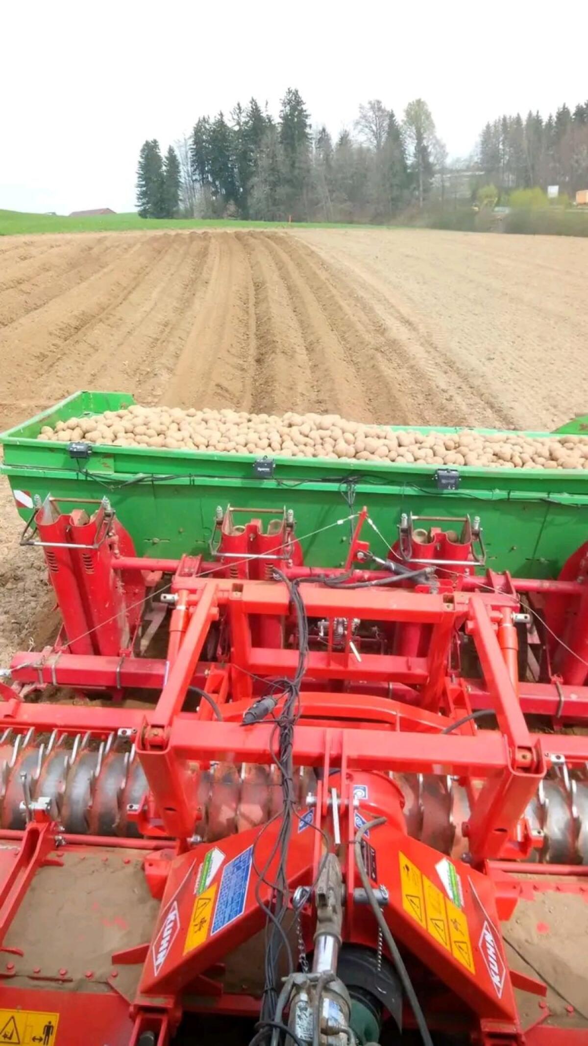 Verkaufe Kartoffelleger 4-reihig 3