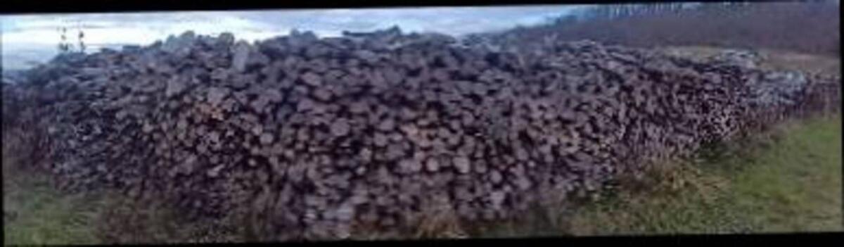 Brennholz Hartholz 2