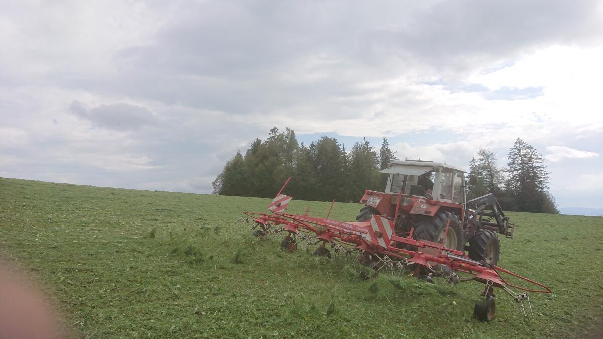 Pöttinger Kreiselheuer HIT 69NZ 3