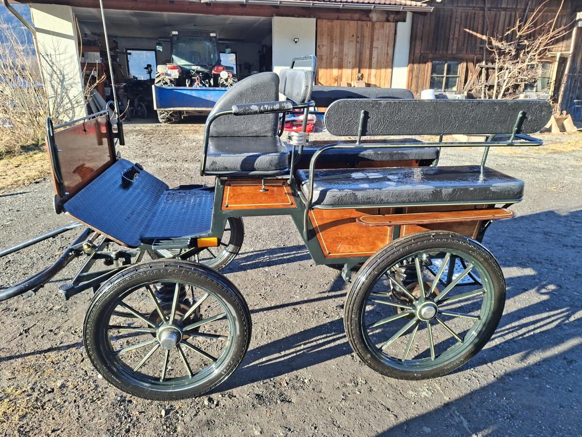 Wagonette 2