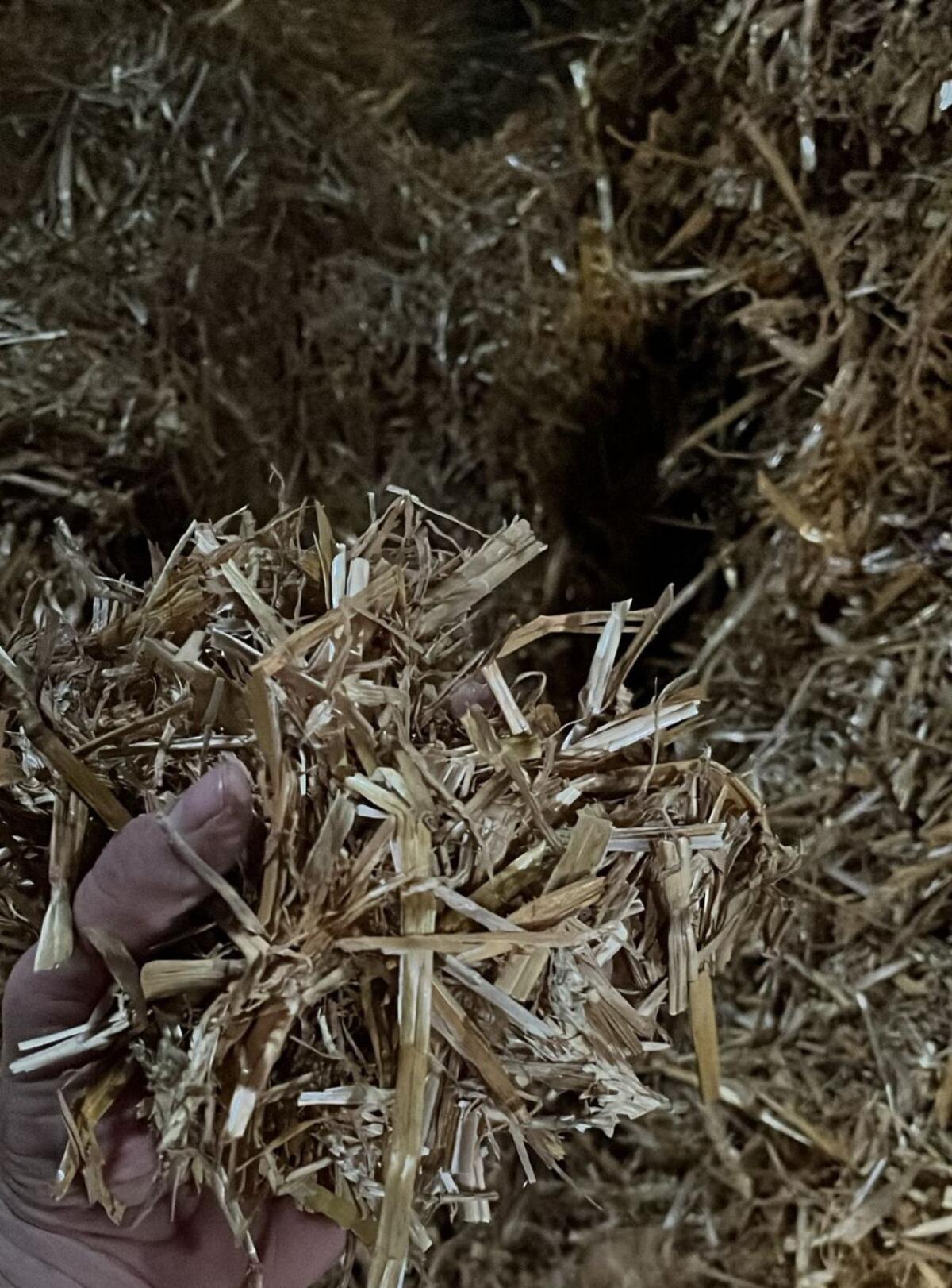 Quaderballen Stroh 2