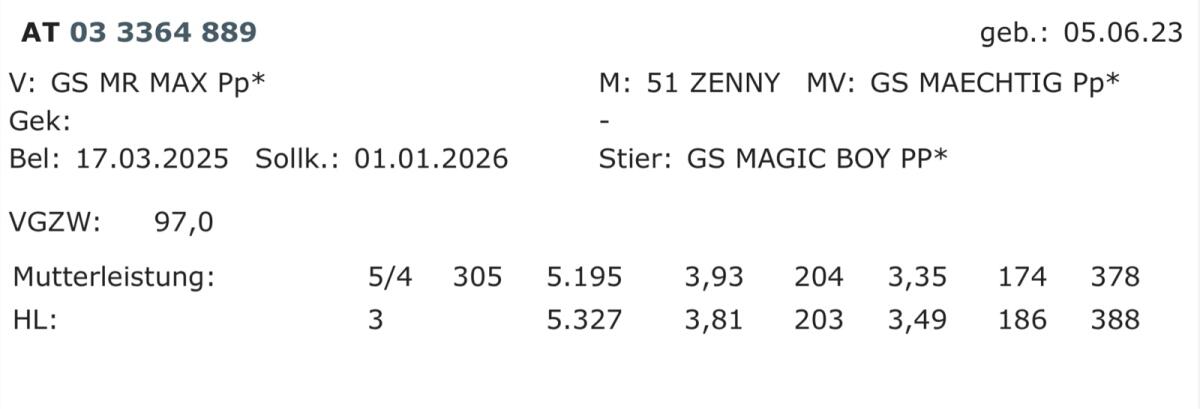 Bio Kalbin trächtig 3