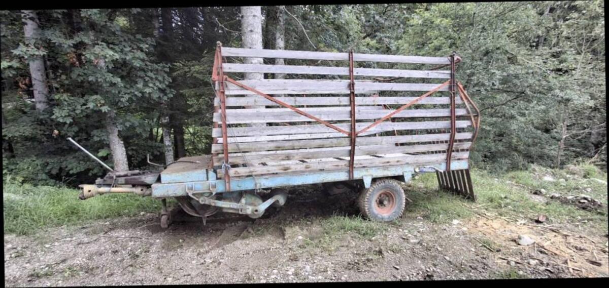 Steyr Hamster Ladewagen 3