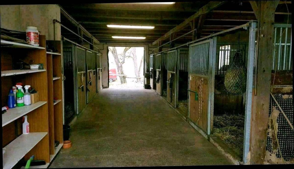 Pferdeeinstellplatz 3