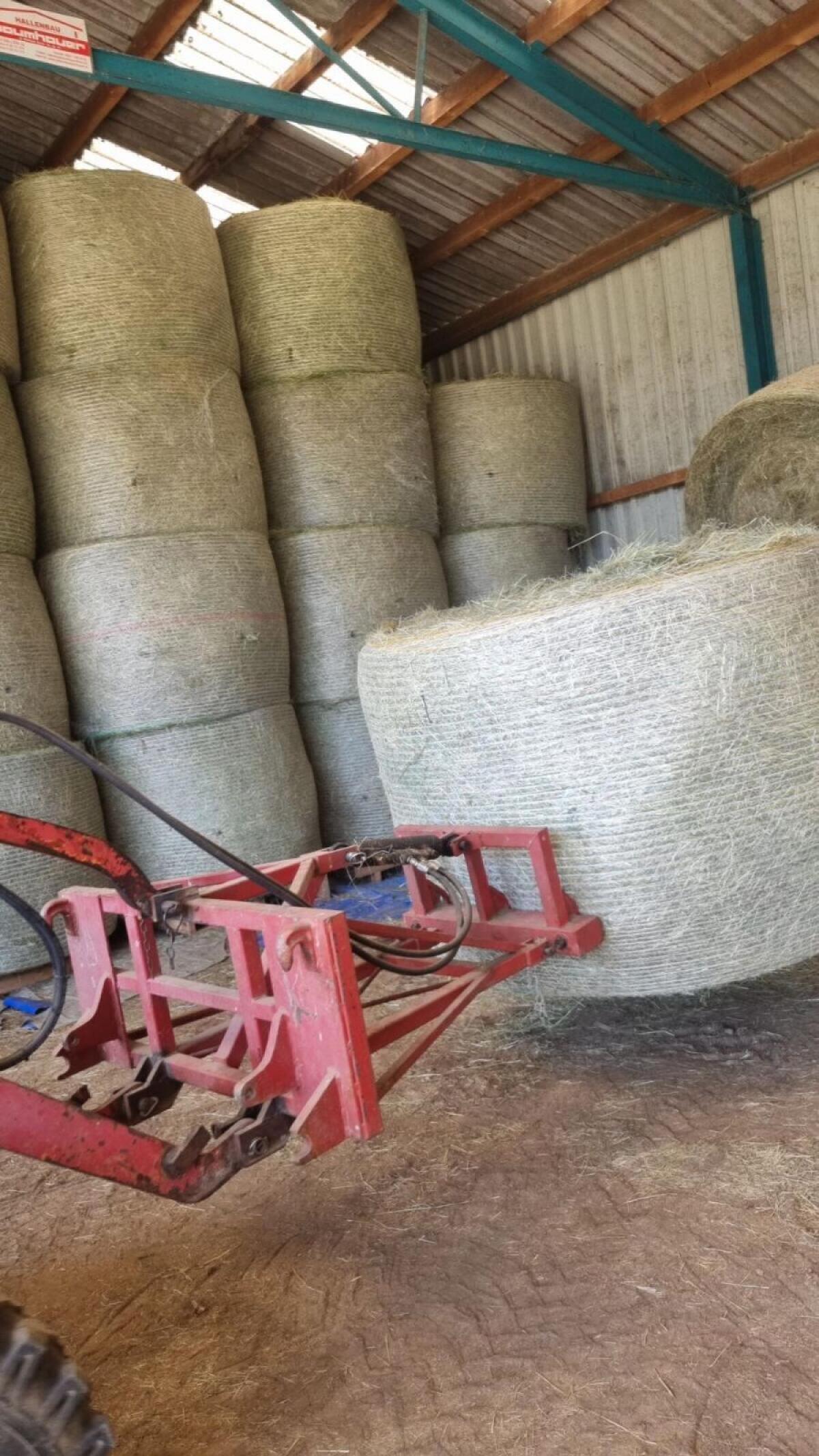 Kleeheu in Rundballen 2