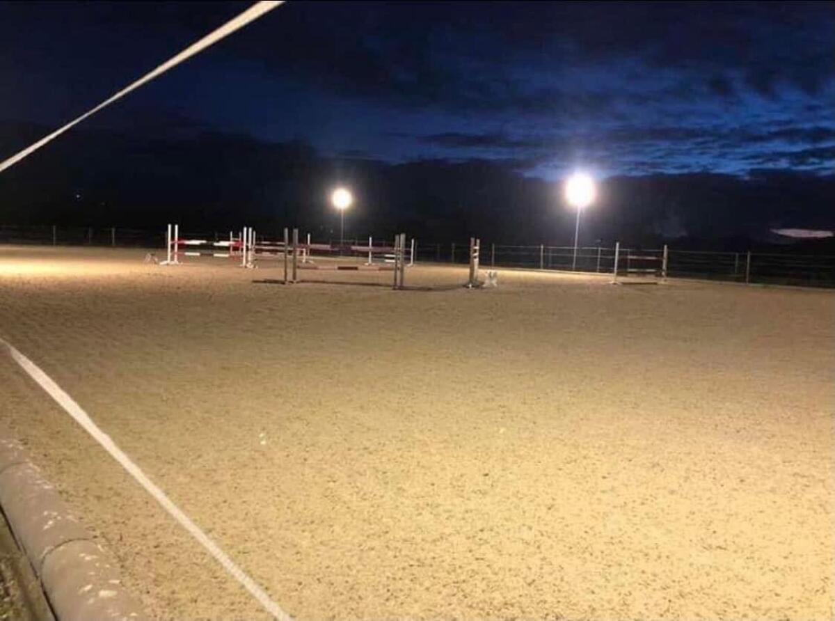 Pferdeeinstellplatz, Pferdebox 3