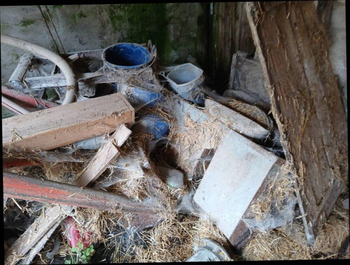 Frontlader für Steyr 188 2