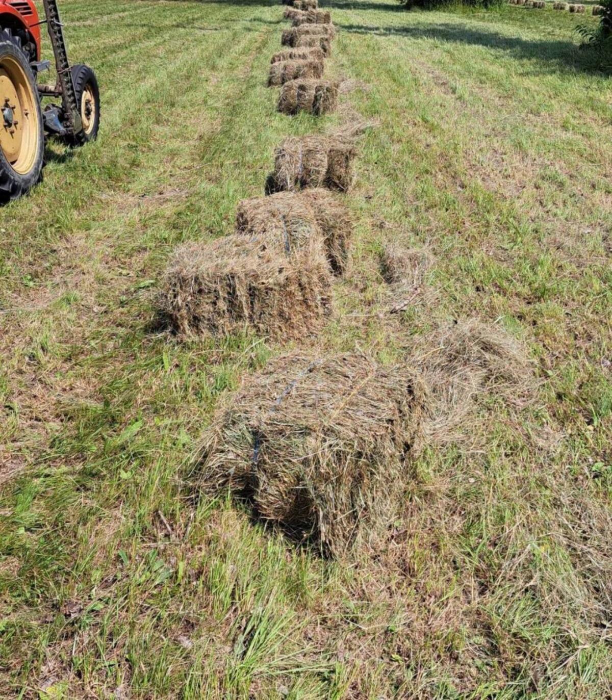 Heu in Kleinballen 2