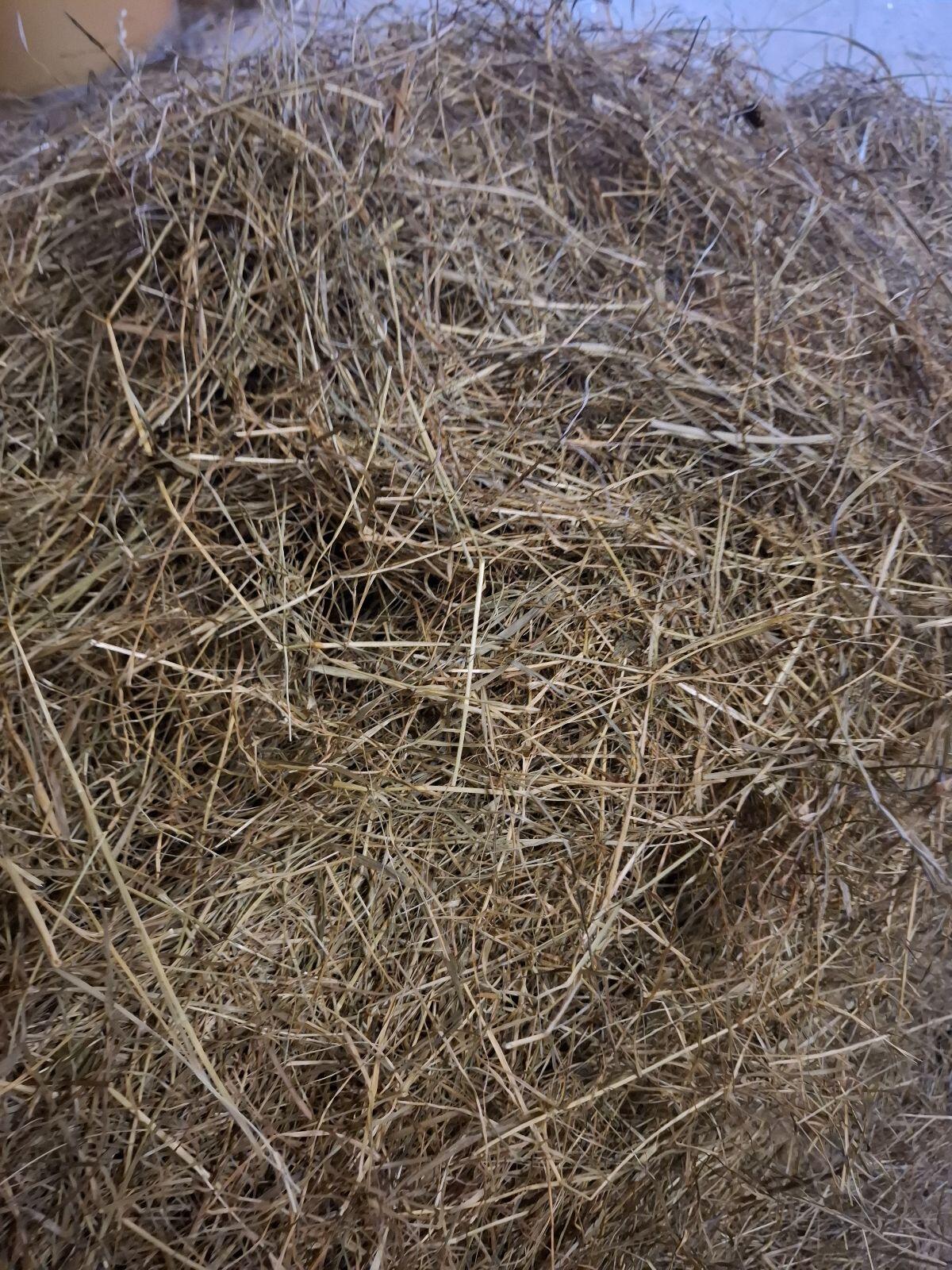 Heu zu verkaufen 2