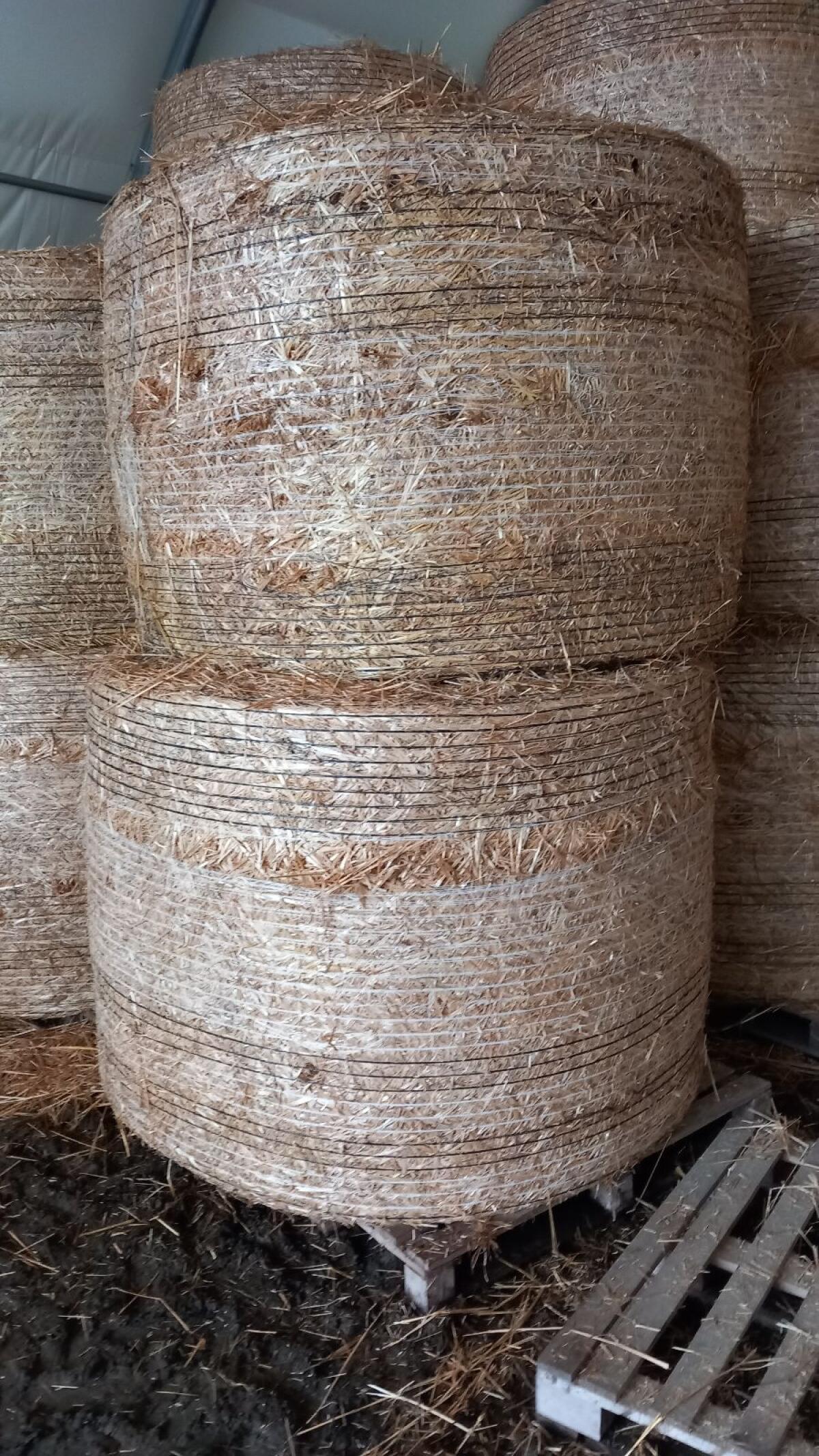 Stroh Rundballen 1,60 m 3