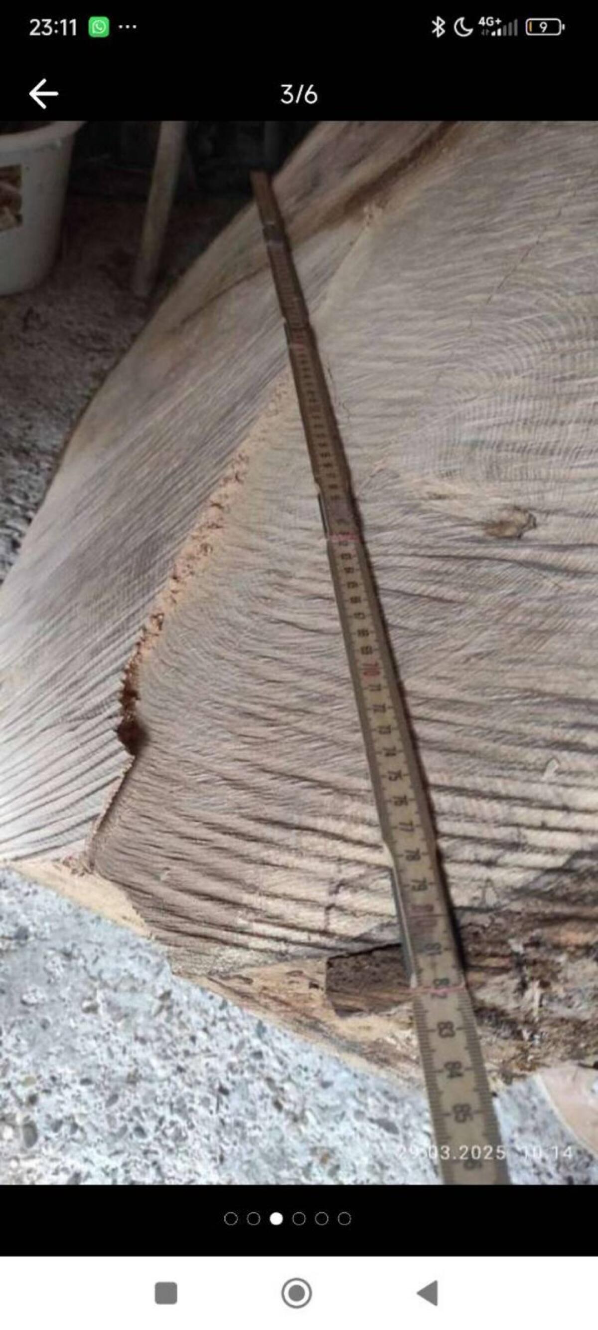 Eschenholz Holzscheibe für Tischplatte 3