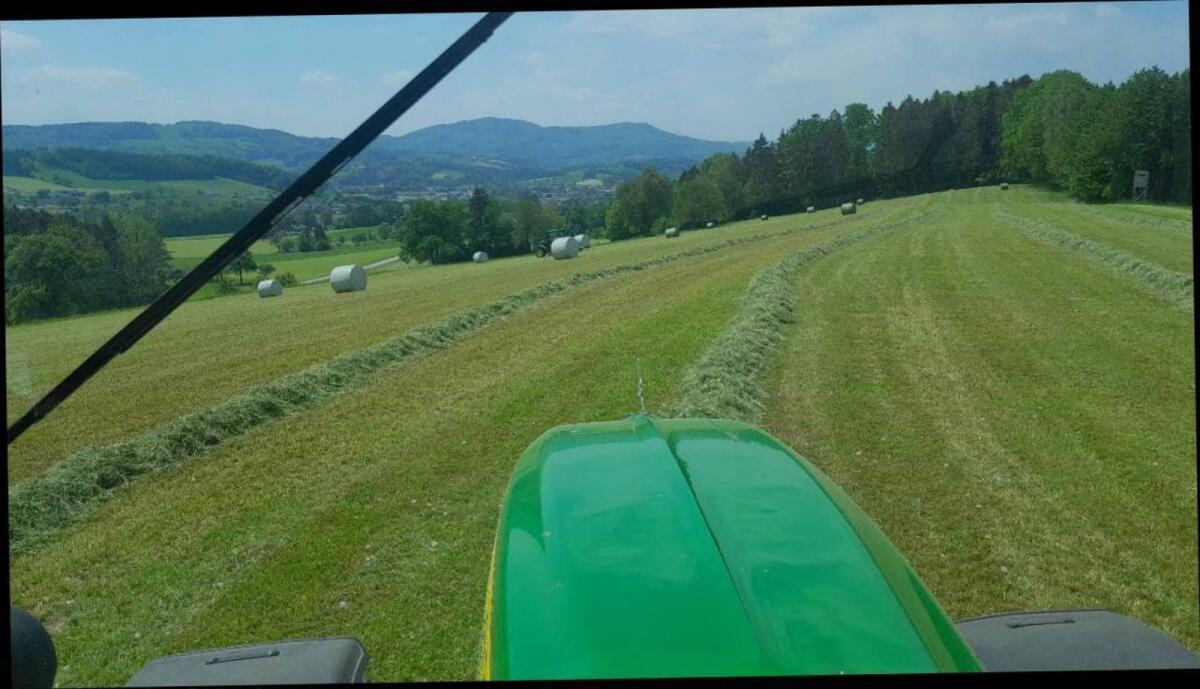 Grassilage, Maissilage, Belüftungsheu, Pferdeheu und Stroh 3