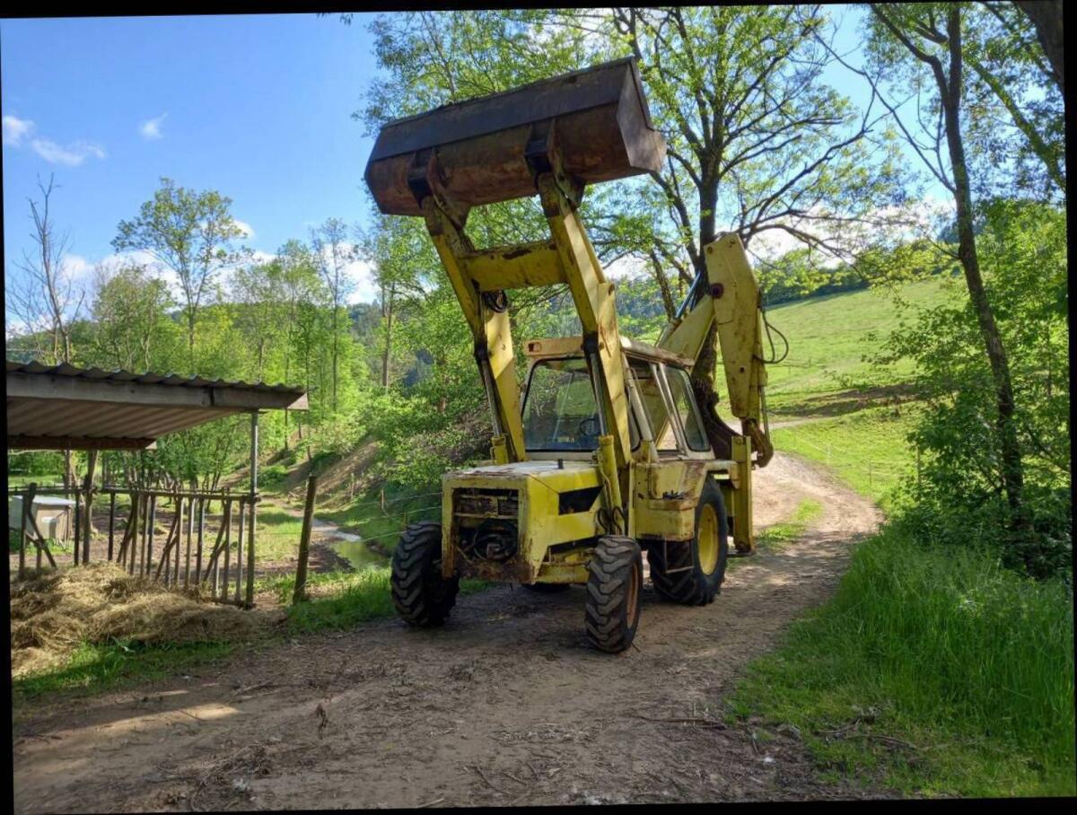 ICB Baggerlader 3 D 3