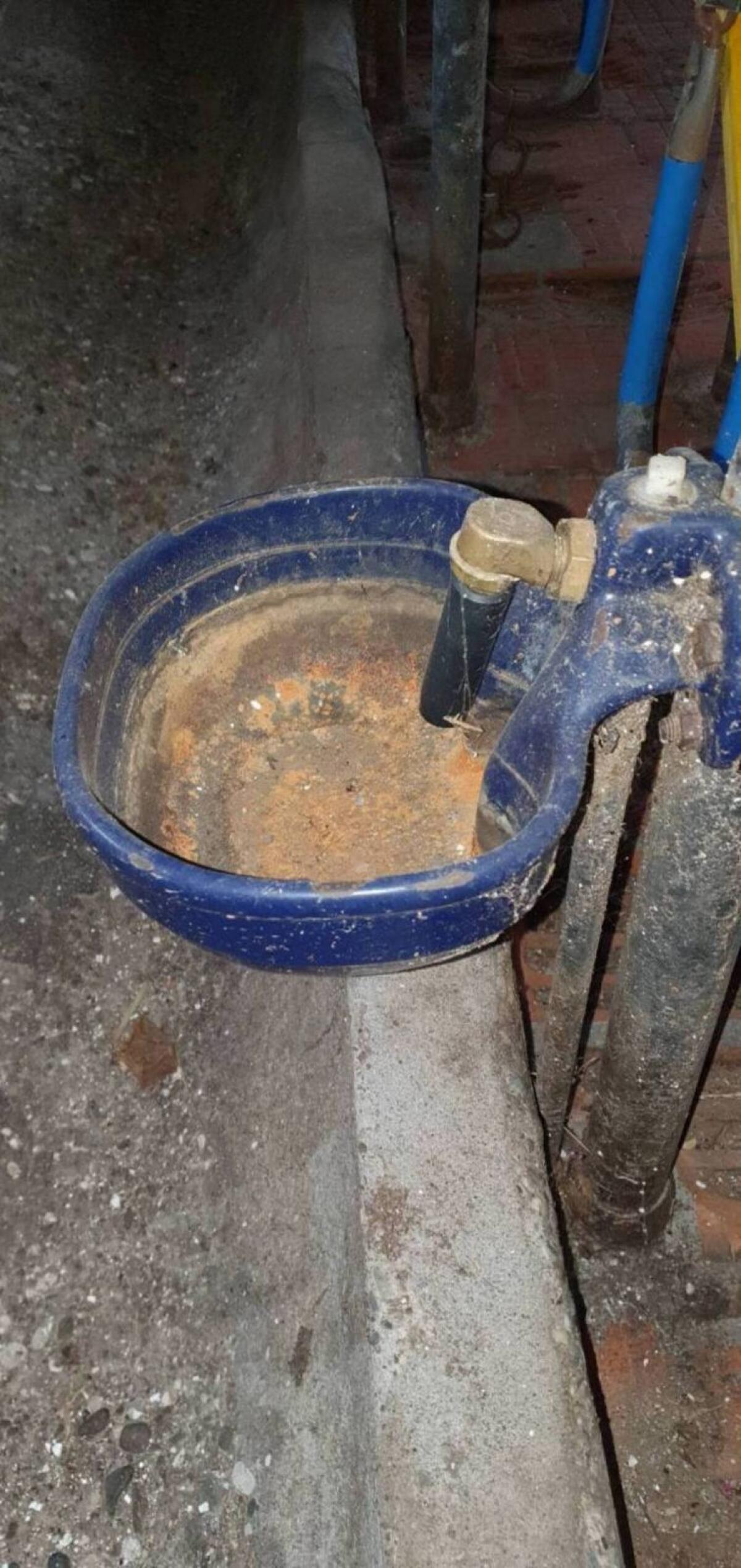 Stalleinrichtung, Tränker 2