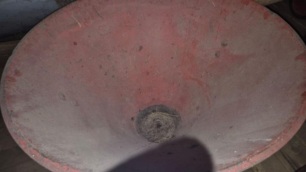 Kunstdüngerstreuer 2