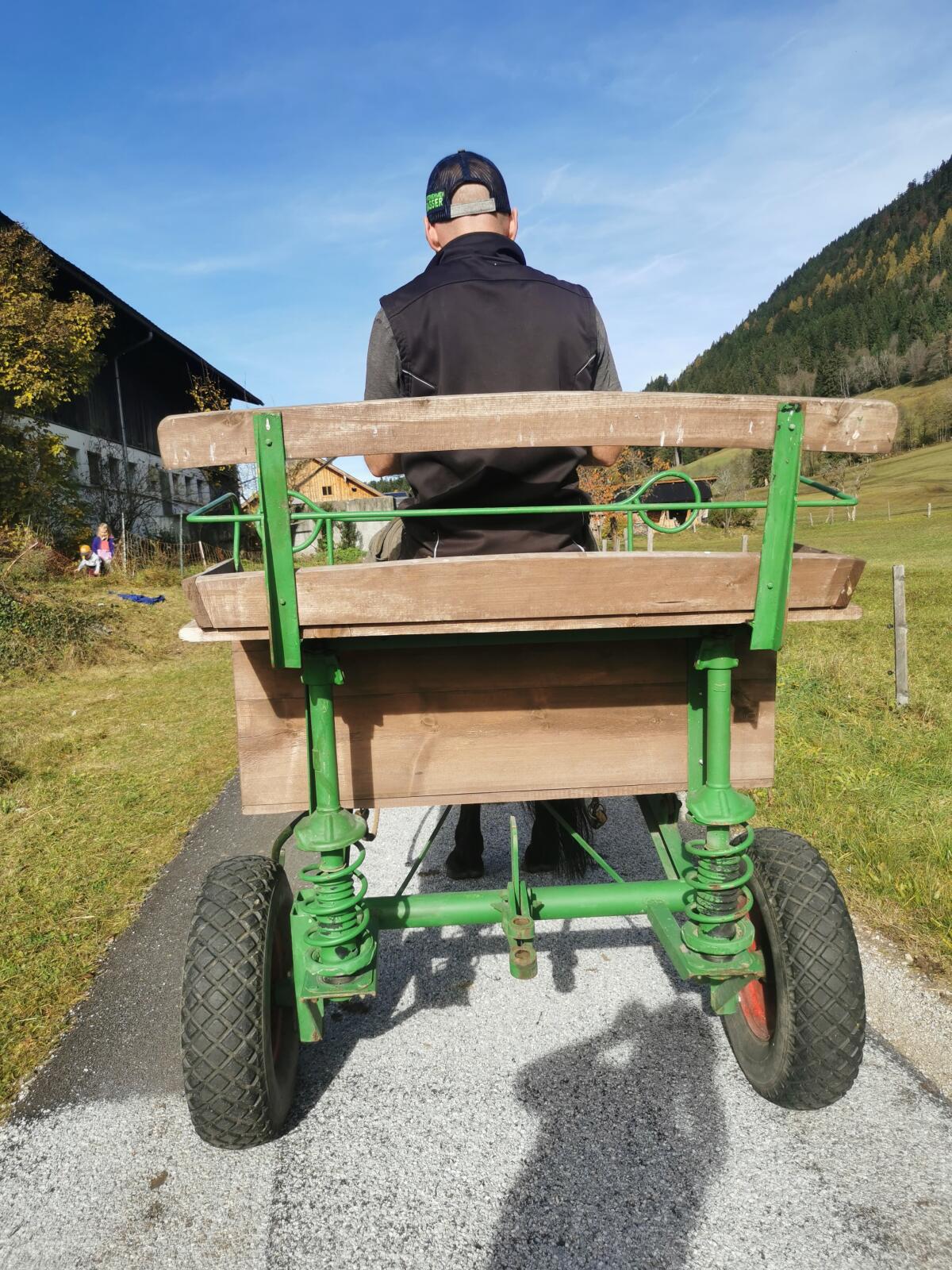 Gig für Großpferde 3