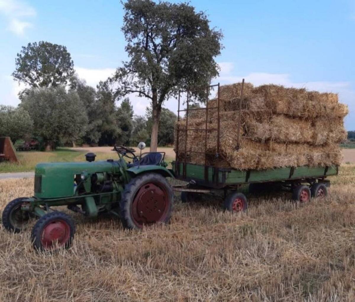 Heu und Stroh in Kleinballen 2
