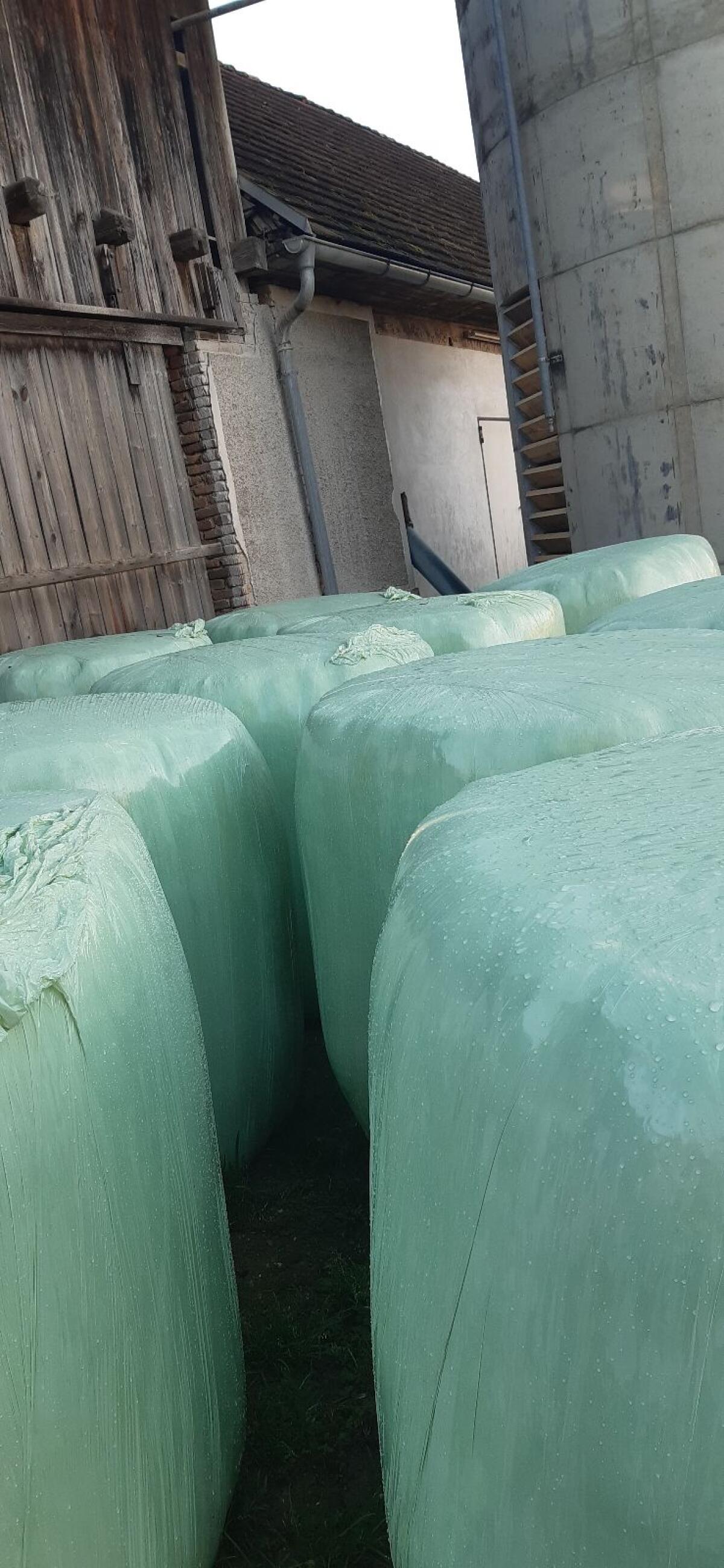 Silage Ballen 2