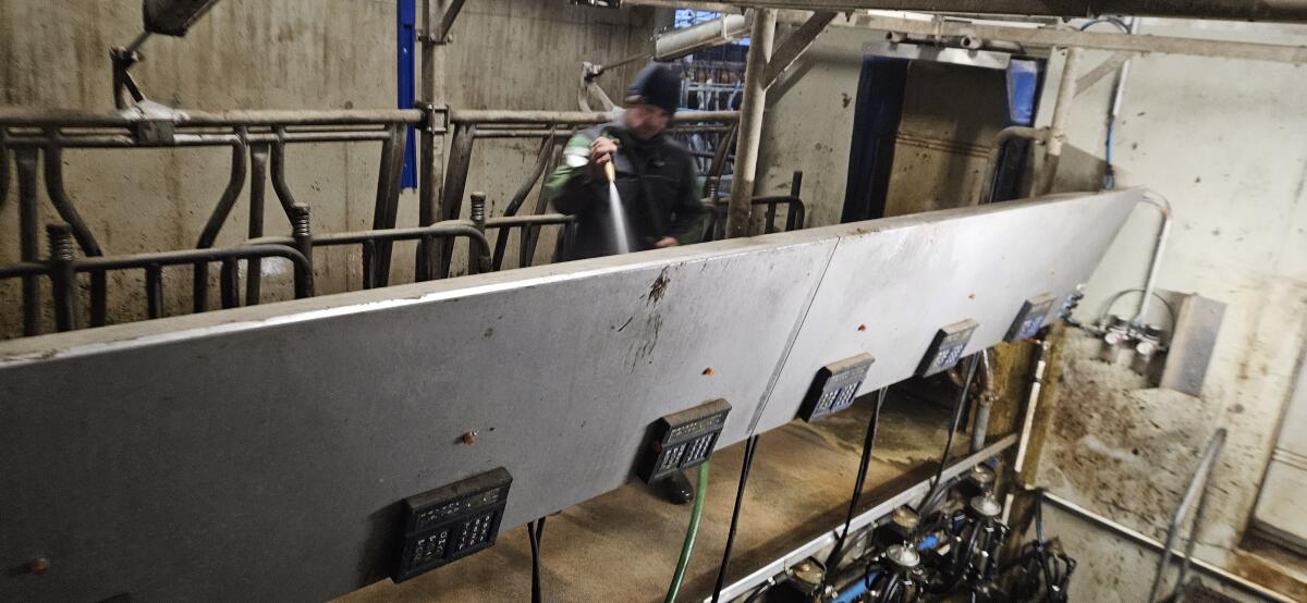 Side by Side Melkstand 3