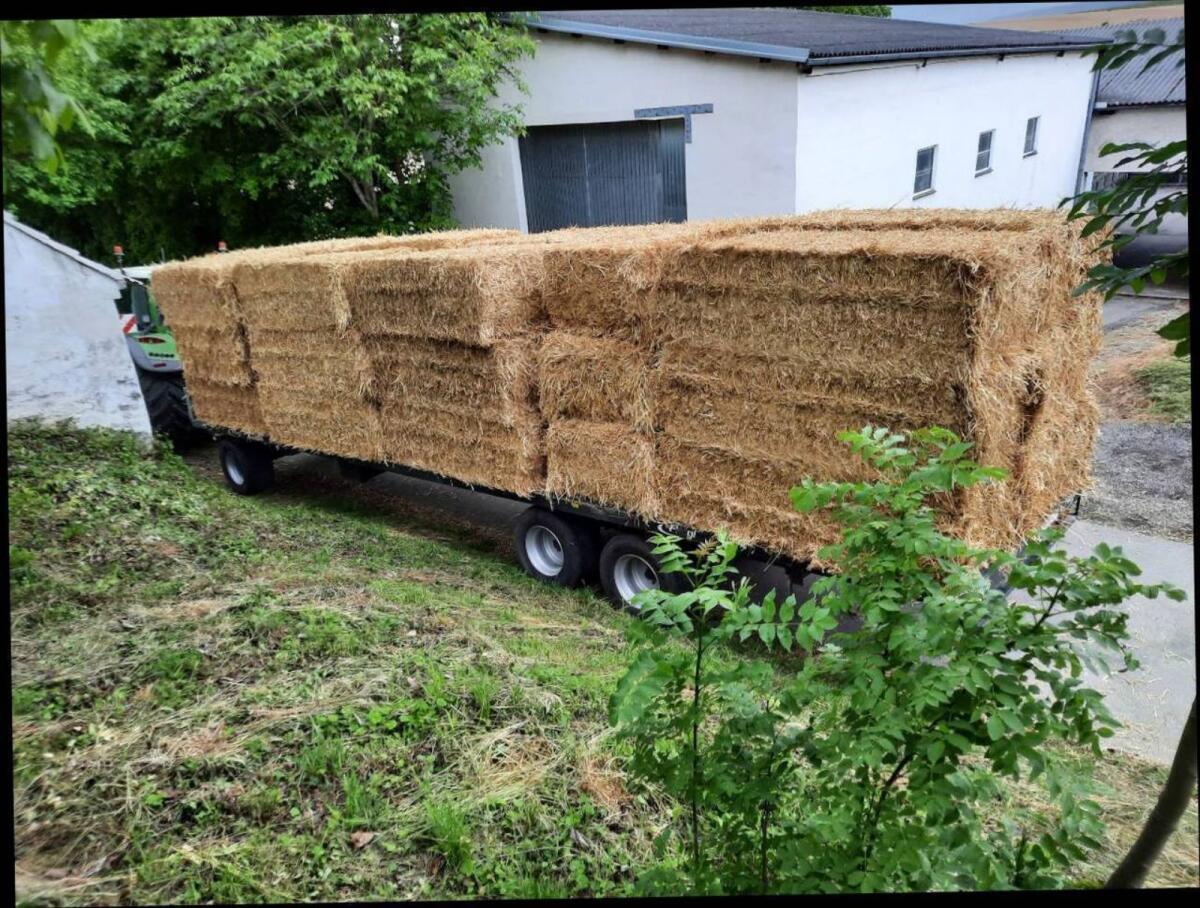 Futterstroh geschnitten oder lang 2