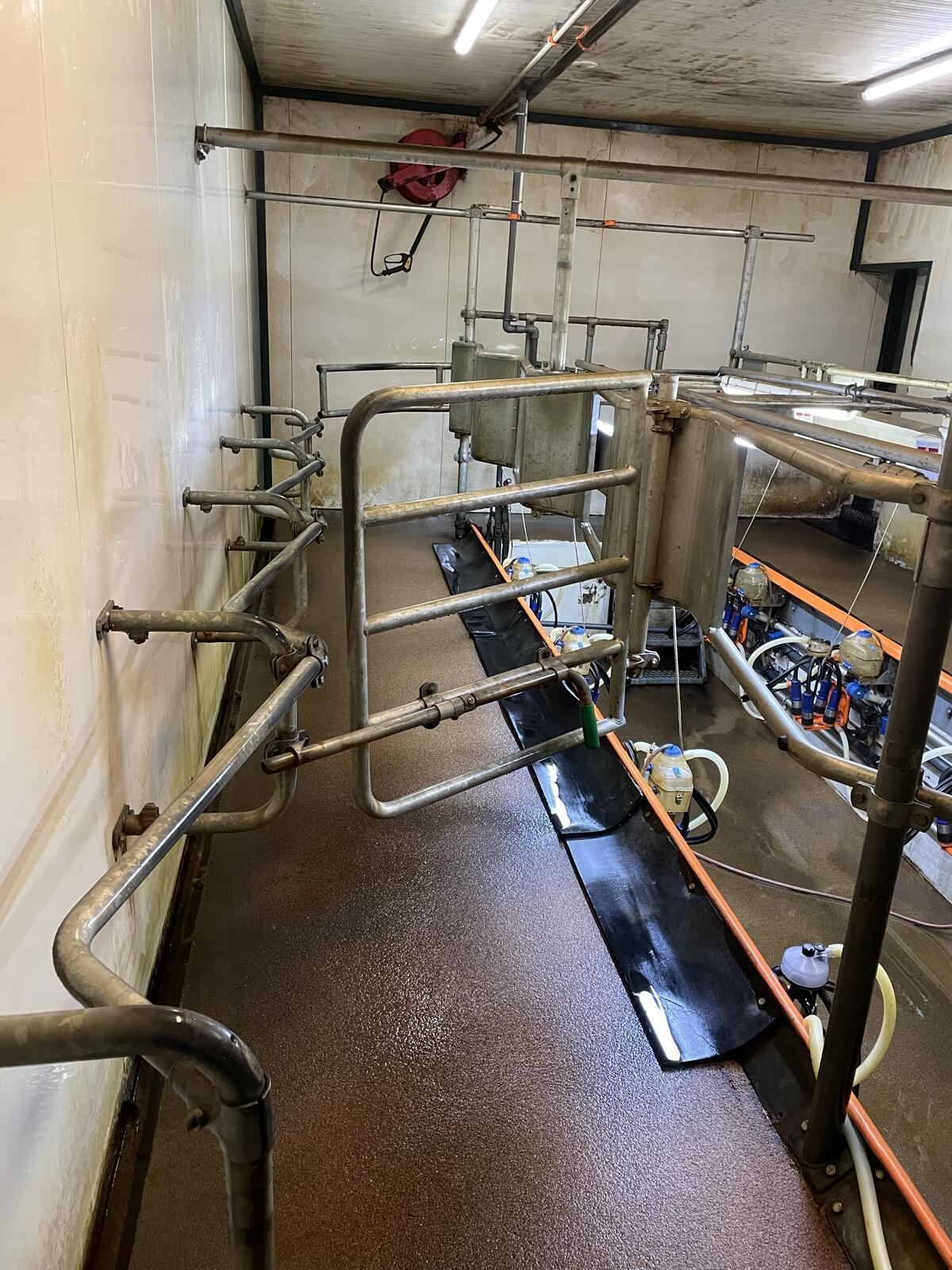 2x3 Fischgrät-Melkstand Etscheid 2