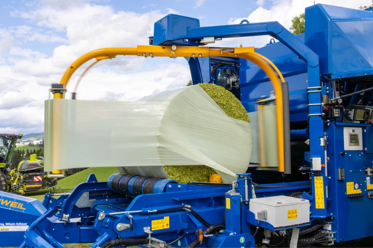 Bio Maisballen zu verkaufen 3