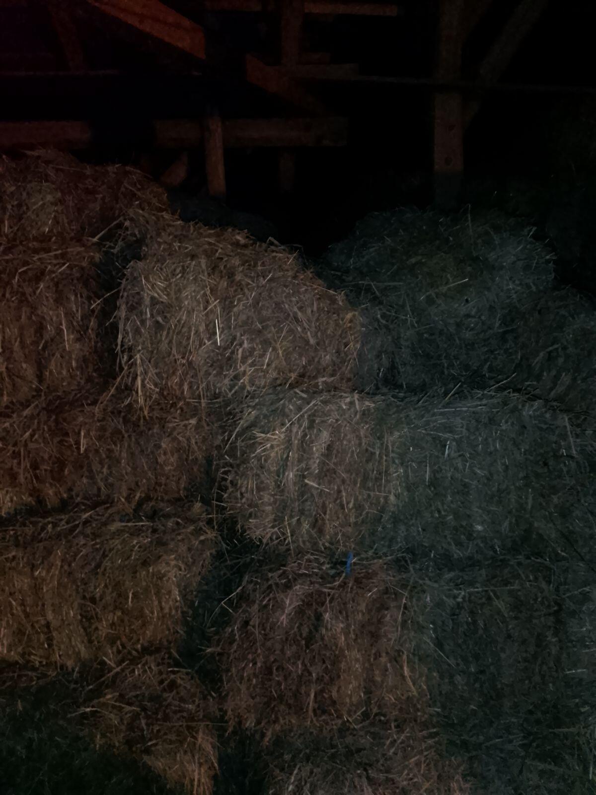 Heuballen Kleinballen 2