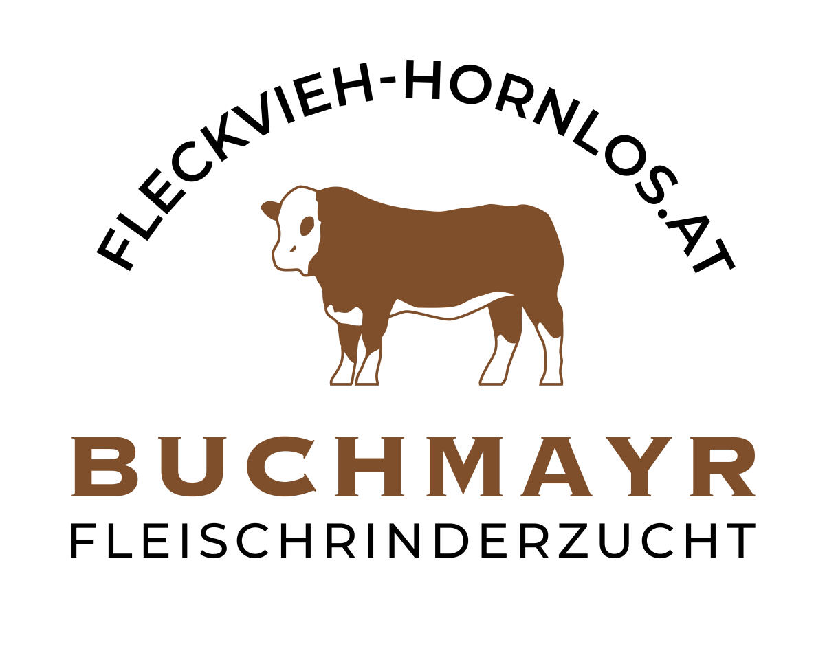 Fleckvieh Fleisch Zuchtstier genetisch hornlos 2