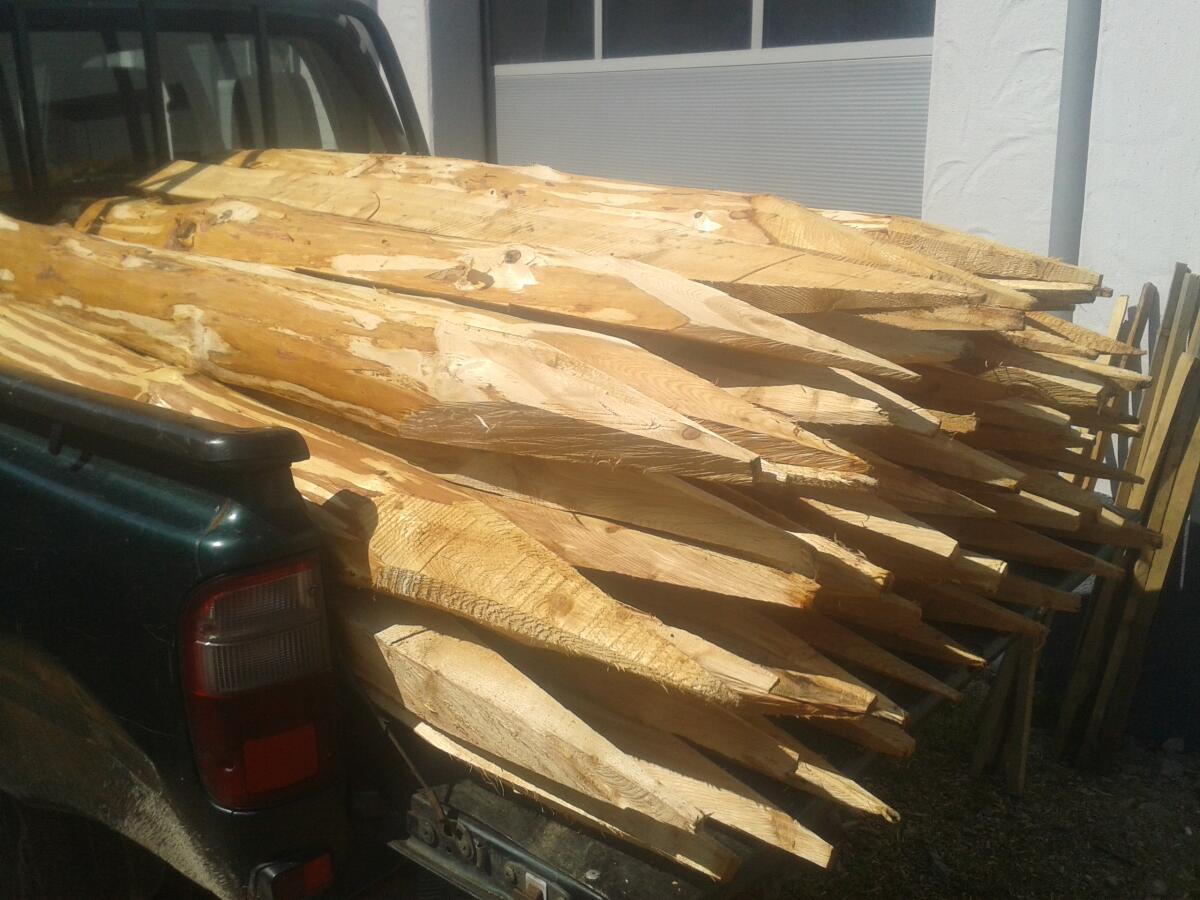 Haagsäulen, Lärchenstifel, Zaunsteher, Baumschutz 3