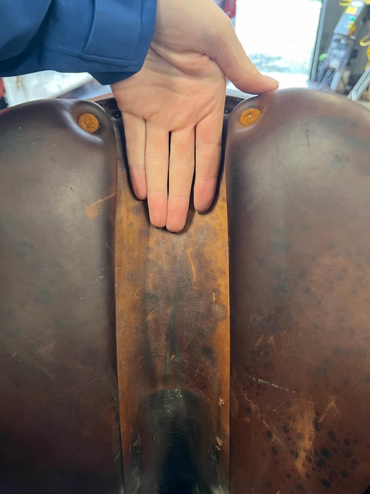 Bruno Delgrange Sattel 3