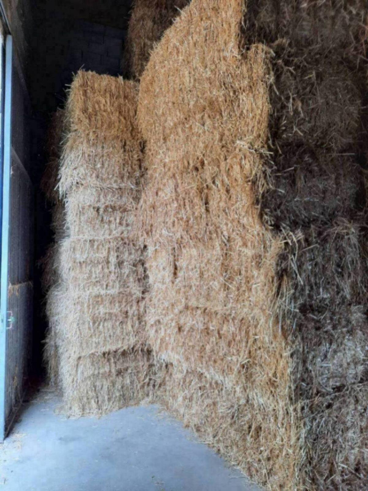 Futterstroh geschnitten oder lang 3