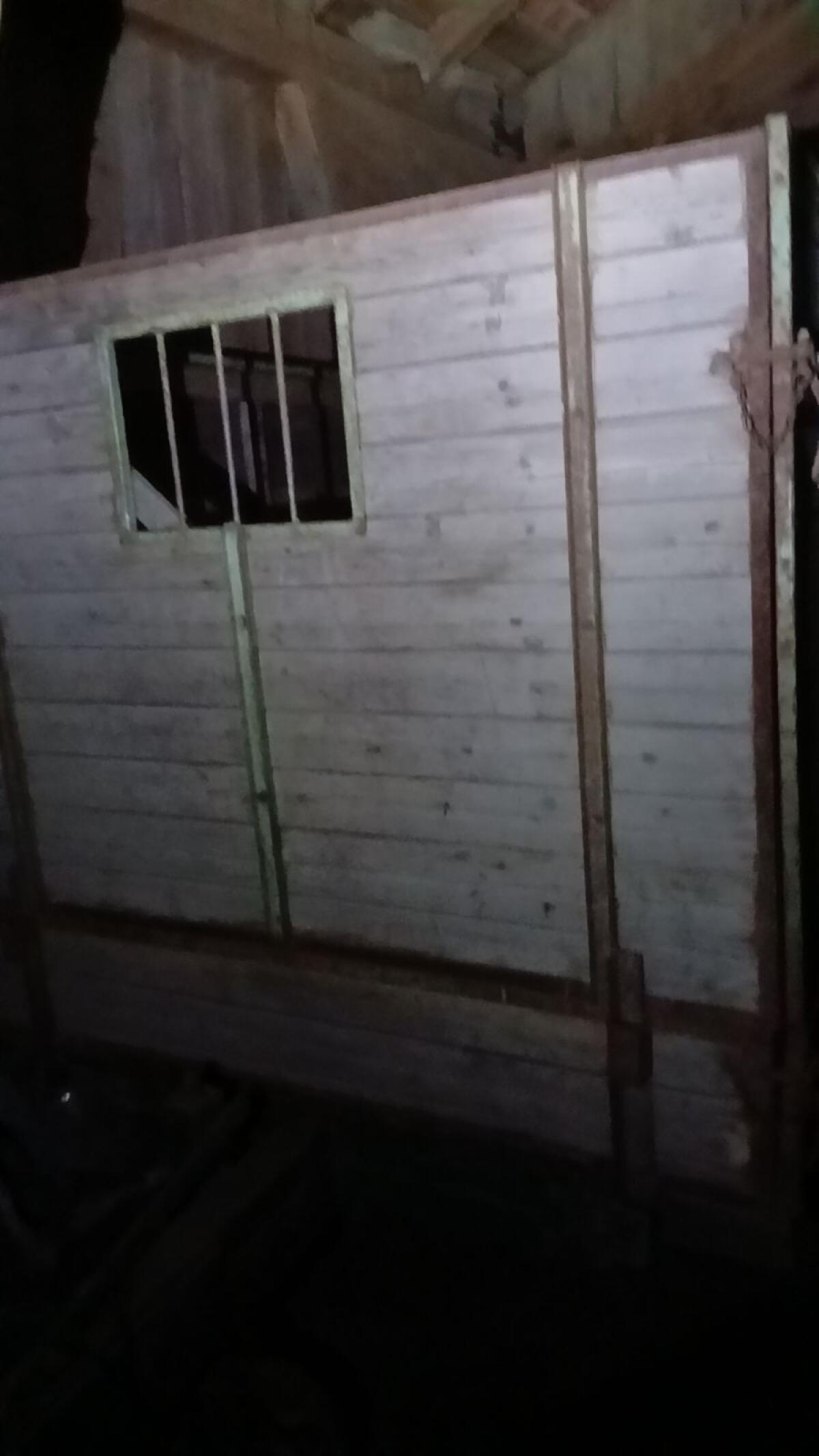 Tiertransporter Anhänger 3