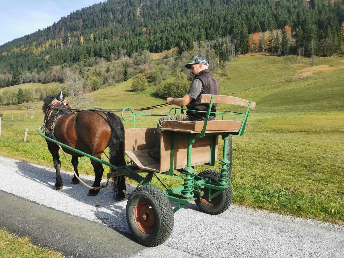Gig für Großpferde 2