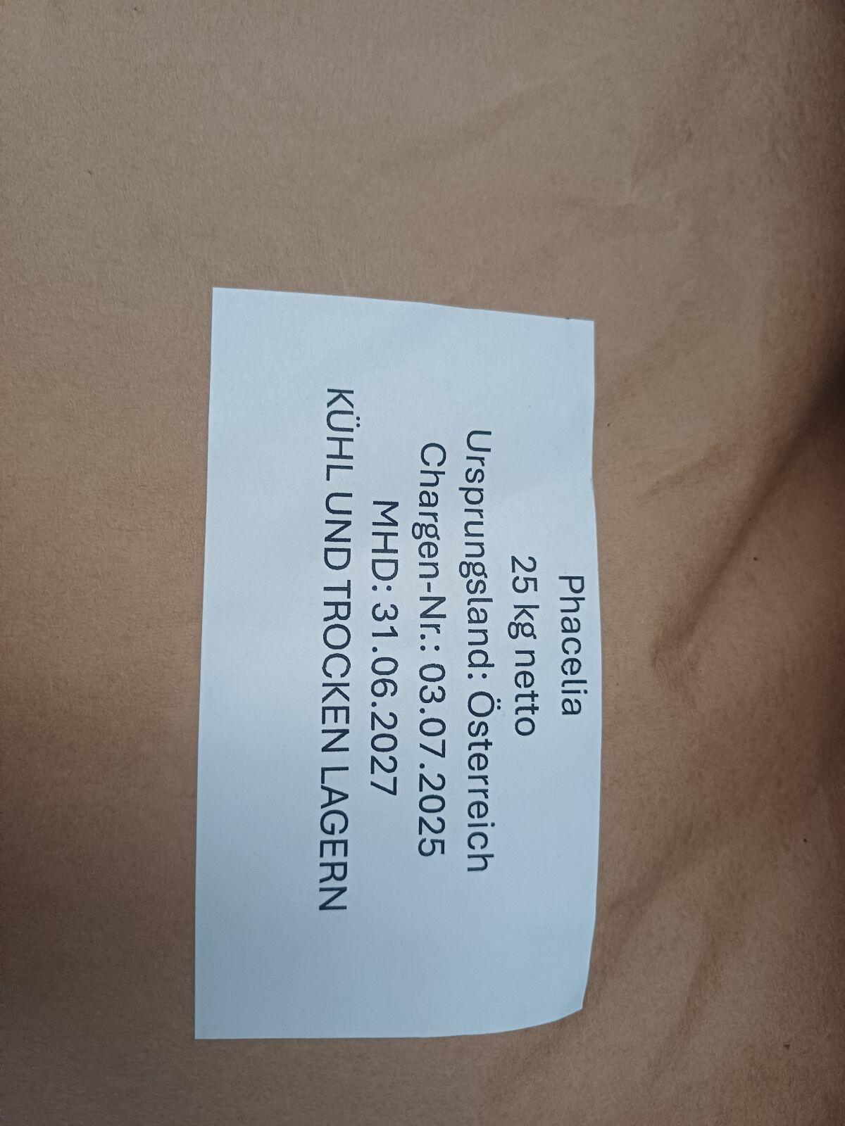 Phacelia und Buchweizen 2