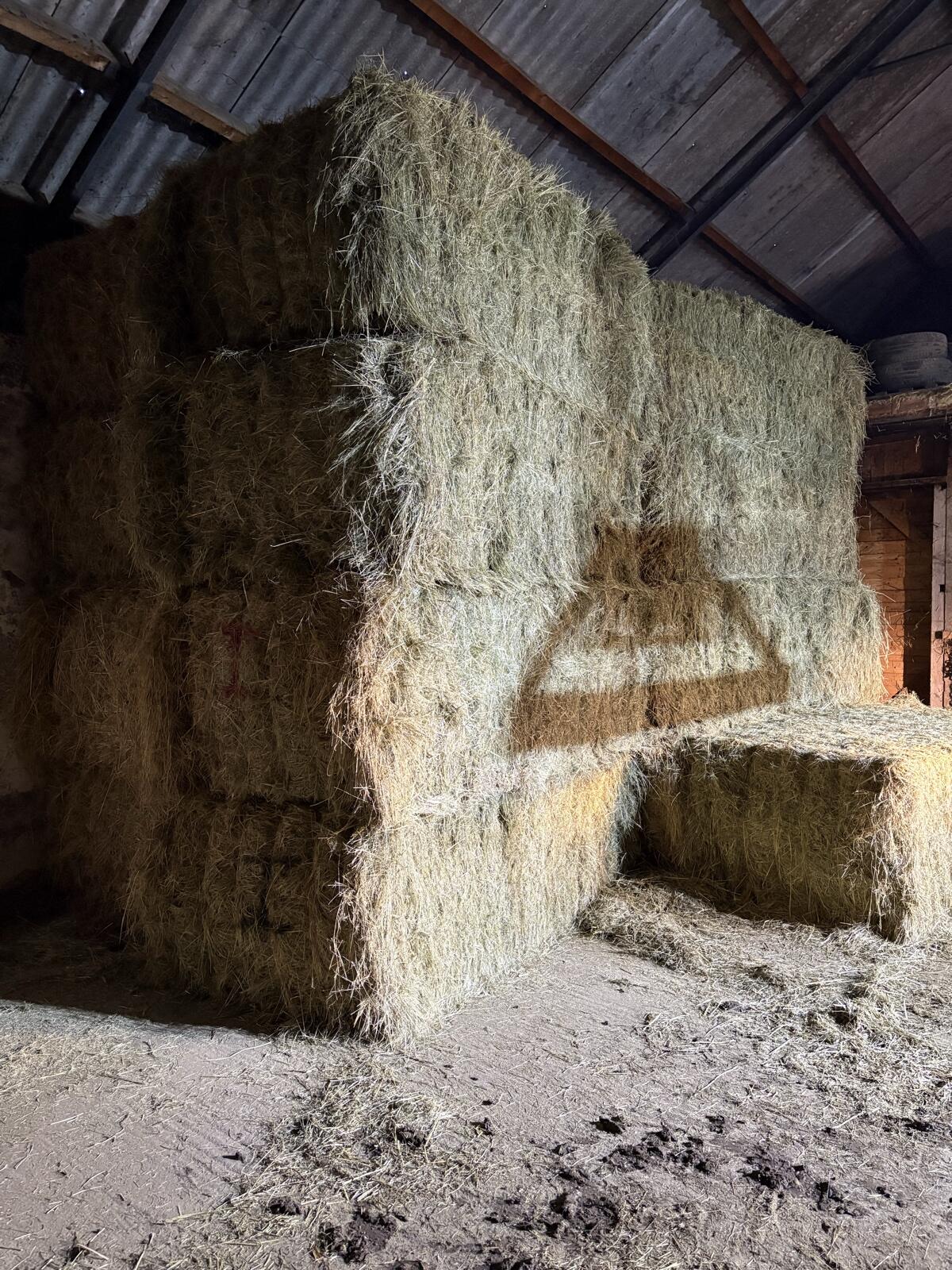 Heu 1. Schnitt 2025 3