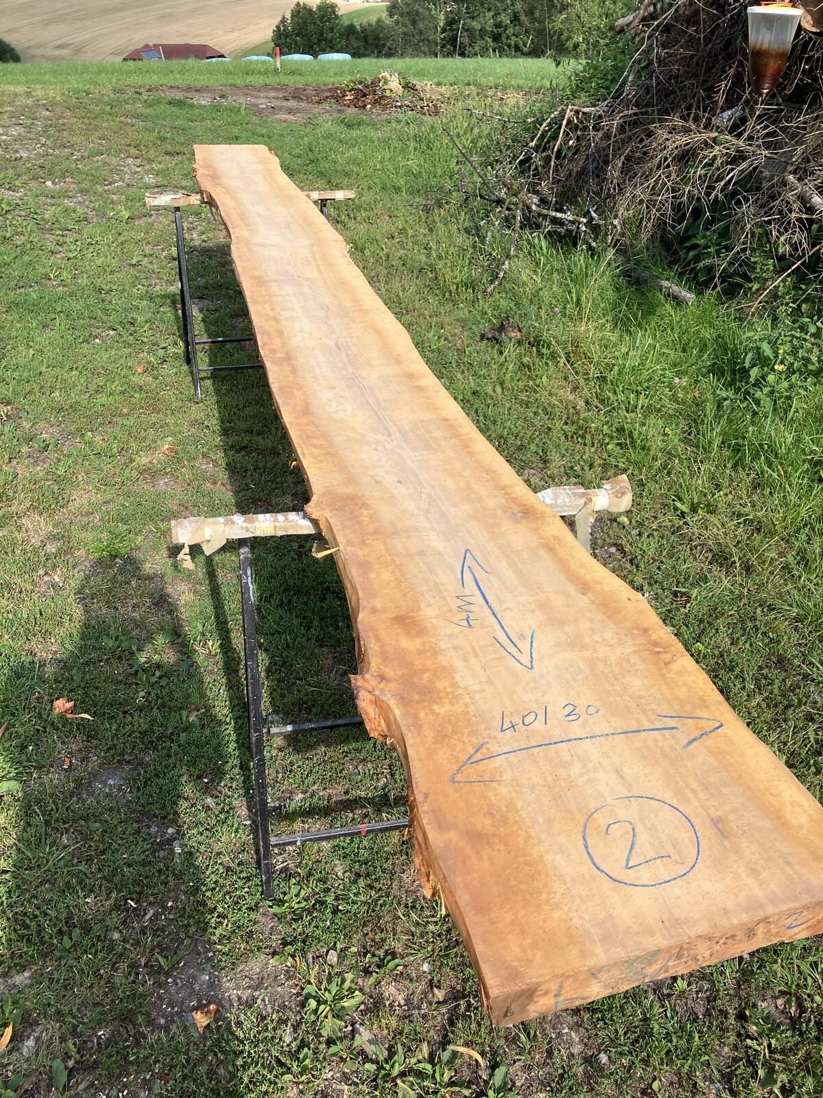 Erlenholz 50 mm Pfosten 3