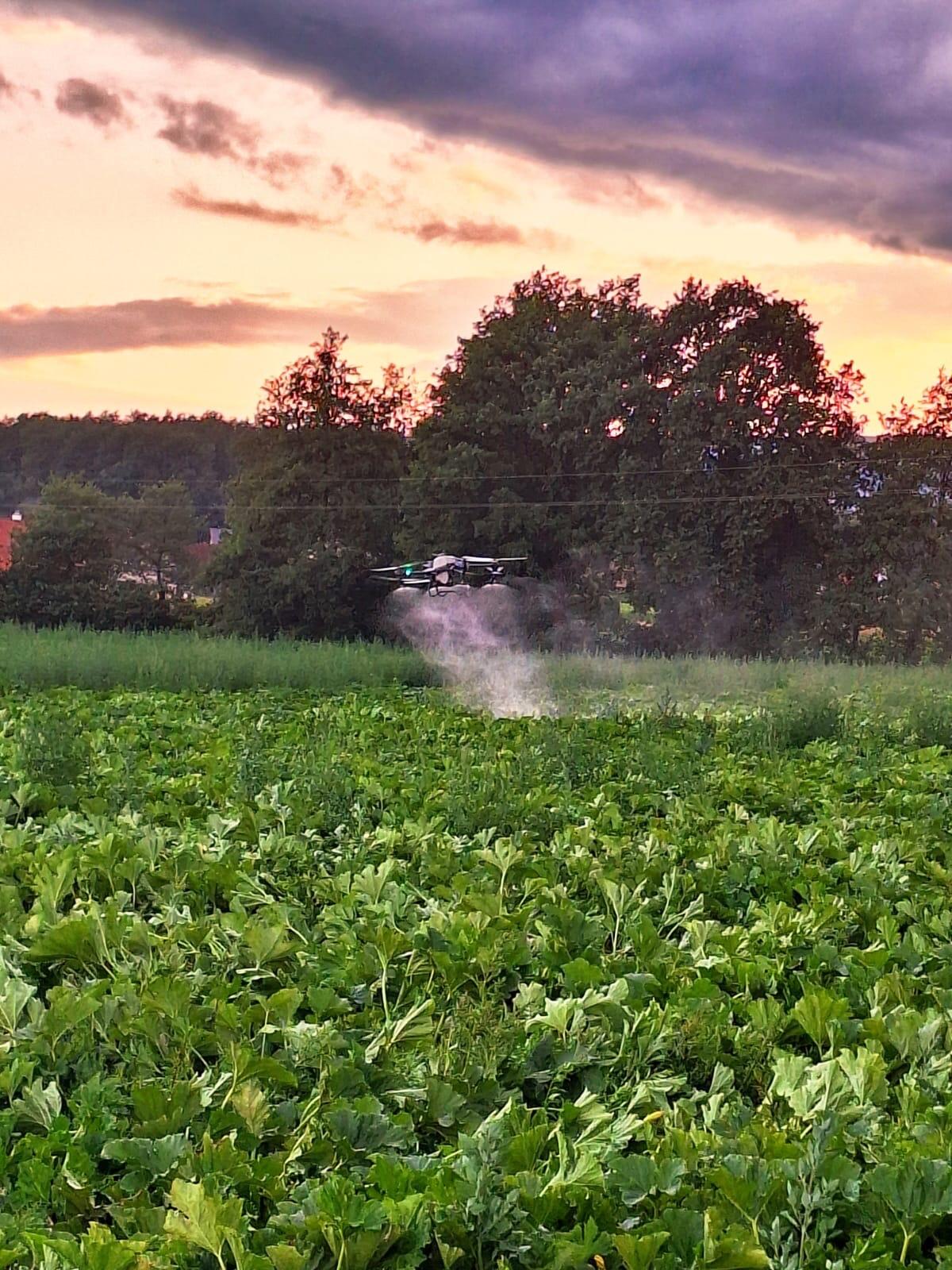 Agrardrohnen-Dienstleistung mit 8 Jahren Erfahrung 1