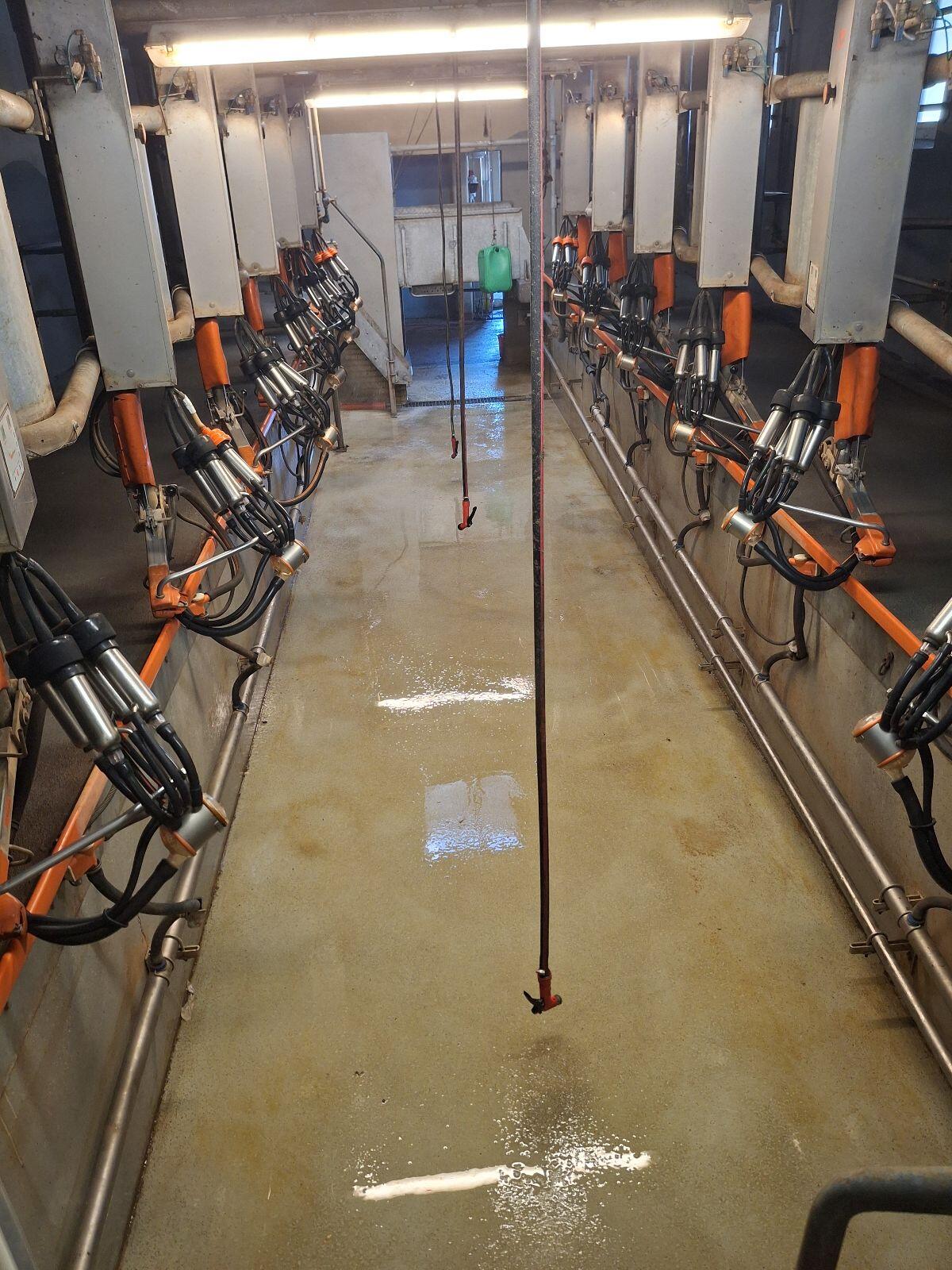 Happl Melkstand 2x6 Fischgrät 2