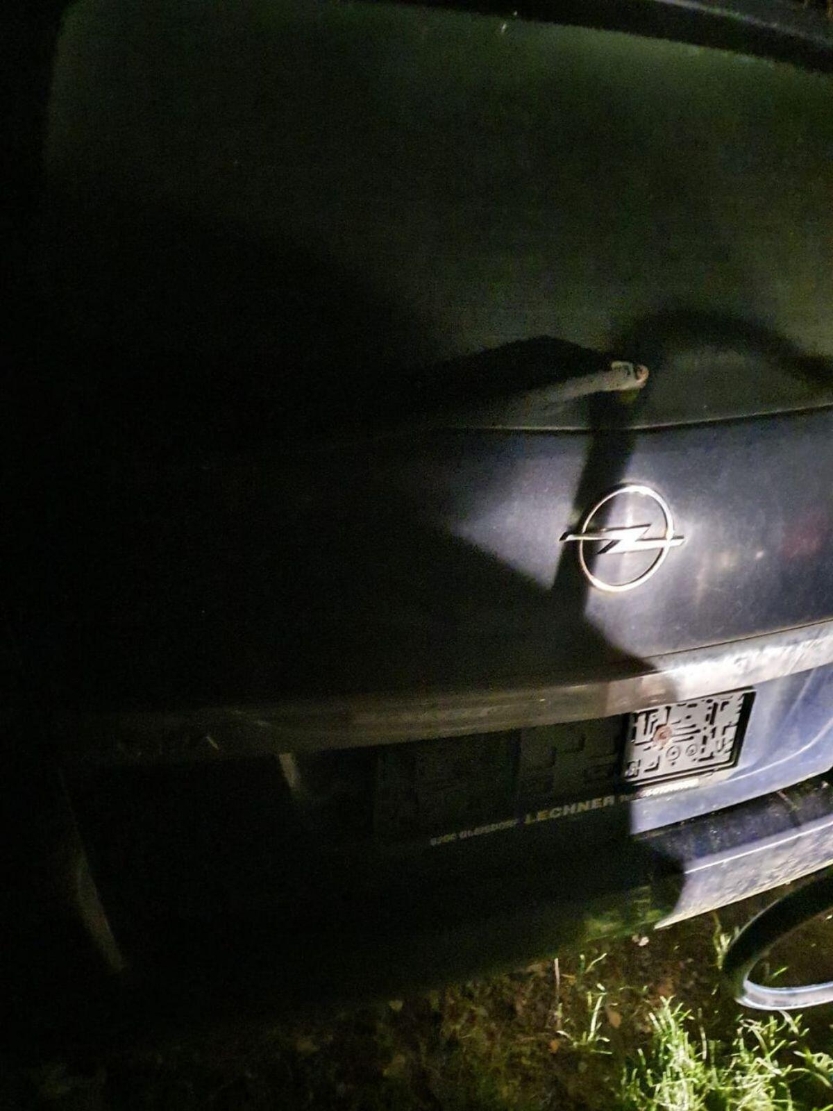 Auto Golf Syncro, Opel Zafira 2